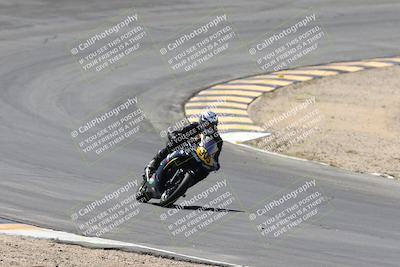 media/Apr-20-2025-CVMA (Sun) [[39090e8767]]/Race 11-500-350 Supersport (Holeshot)/